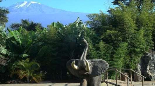 Kilemakyaro Mountain Lodge Моши Экстерьер фото
