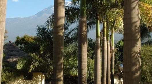 Kilemakyaro Mountain Lodge Моши Экстерьер фото